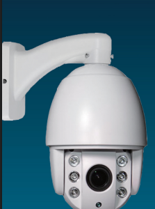 SunForge 500W Half-Cut Mono